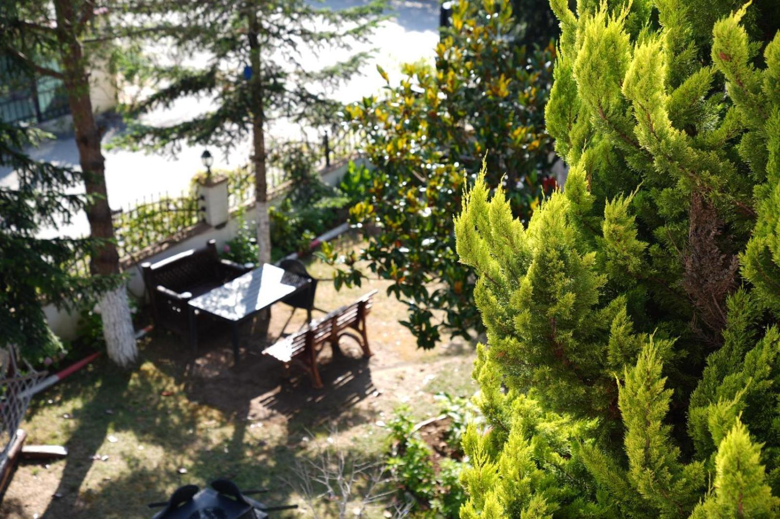 Butterfly Boutique Hotel Agva Luaran gambar